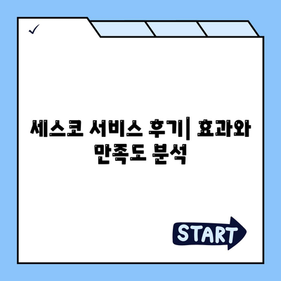 대구시 달성군 하빈면 세스코 서비스 가격 및 후기 | 가정집, 원룸 신청 방법과 진단 팁 2024