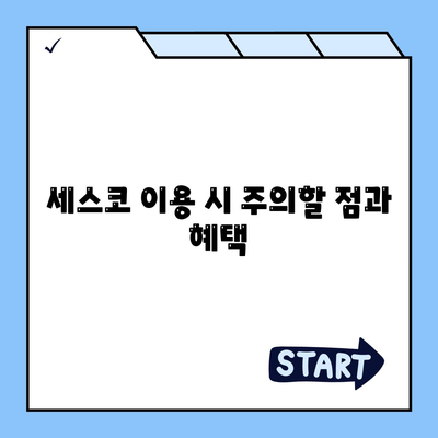 2024 경상북도 영천시 대창면 세스코 가격 가이드 | 비용, 가정집 후기, 신청 방법, 좀벌래 해결책"