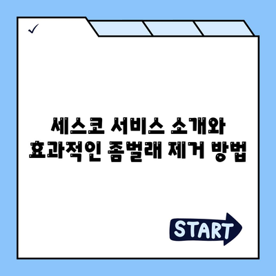 대구시 서구 비산7동 세스코 가격 및 신청 방법 | 가정집 후기, 원룸, 좀벌래 해결책 2024