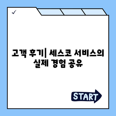 강원도 횡성군 갑천면 세스코 가격 및 후기 완벽 가이드 | 비용, 가정집 신청, 원룸 진단, 좀벌래 해결책 2024