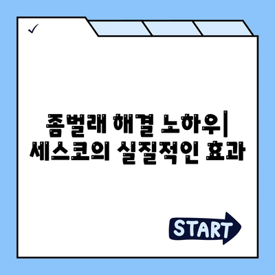 제주도 제주시 봉개동 세스코 가격 및 가정집 후기 리뷰 | 신청 방법, 비용, 좀벌래 해결 팁 2024