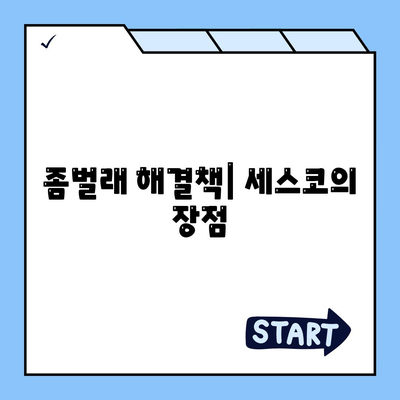 부산시 동구 범일1동 세스코 가격 및 가정집 후기 | 비용, 신청 방법, 좀벌래 해결책, 2024