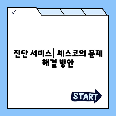 서울시 동대문구 휘경제1동 세스코 가격 및 비용 가이드 | 가정집 후기, 원룸 신청 방법, 진단 서비스와 좀벌래 해결책 2024"