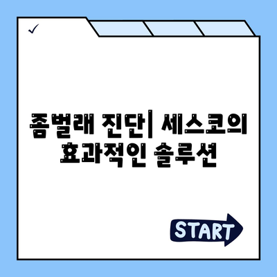 경상북도 영주시 부석면 세스코 가격 및 비용 총정리 | 가정집 후기, 원룸 신청 방법, 좀벌래 진단 2024"