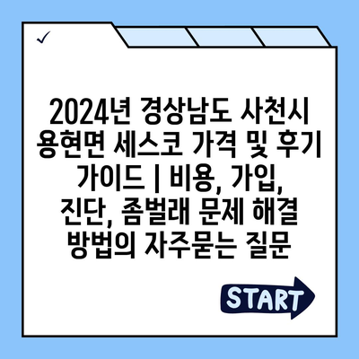 2024년 경상남도 사천시 용현면 세스코 가격 및 후기 가이드 | 비용, 가입, 진단, 좀벌래 문제 해결 방법