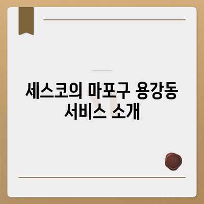 서울시 마포구 용강동 세스코 가격 및 가정집 후기 | 비용, 신청 방법, 좀벌래 해결 팁 2024"