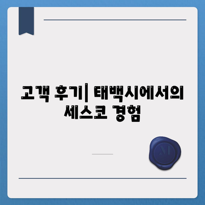 강원도 태백시 황지동 세스코 가격 및 가정집 후기 가이드 | 원룸, 신청, 진단, 좀벌래 해결책 2024