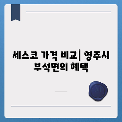 경상북도 영주시 부석면 세스코 가격 및 비용 총정리 | 가정집 후기, 원룸 신청 방법, 좀벌래 진단 2024"