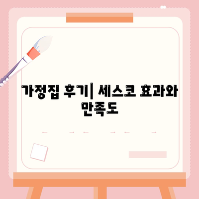 세종시 세종특별자치시 연서면 세스코 가격 및 비용 안내 | 가정집 후기, 원룸 신청, 진단과 좀벌래 해결 tips 2024