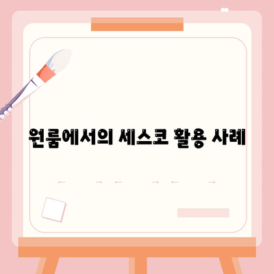 경상북도 군위군 군위읍 세스코 가격 및 가입 방법 안내 | 가정집 후기, 원룸, 좀벌래 해결책 2024