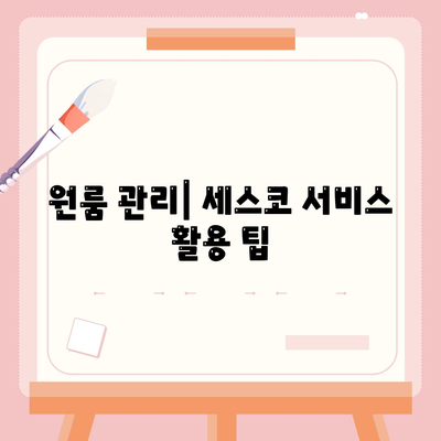 충청남도 서산시 동문2동 세스코 가격과 가정집 후기 총정리 | 비용, 신청방법, 좀벌래 해결, 원룸 정보 2024