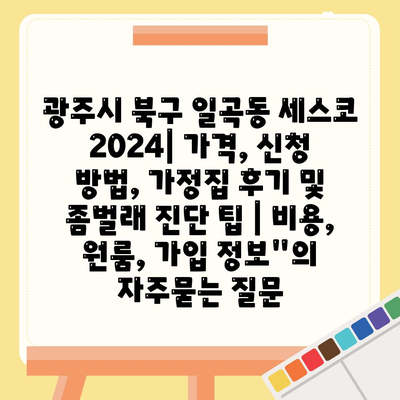 광주시 북구 일곡동 세스코 2024| 가격, 신청 방법, 가정집 후기 및 좀벌래 진단 팁 | 비용, 원룸, 가입 정보"