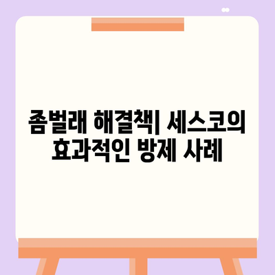 전라남도 담양군 대전면 세스코 가격 및 비용 가이드 | 가정집 후기, 원룸 신청, 진단 방법, 좀벌래 해결책 2024