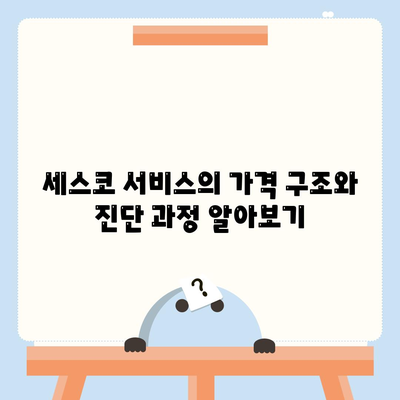 충청남도 홍성군 홍동면 세스코 가격 및 가정집 후기는? | 비용, 신청, 진단, 원룸, 좀벌래 해결책 2024