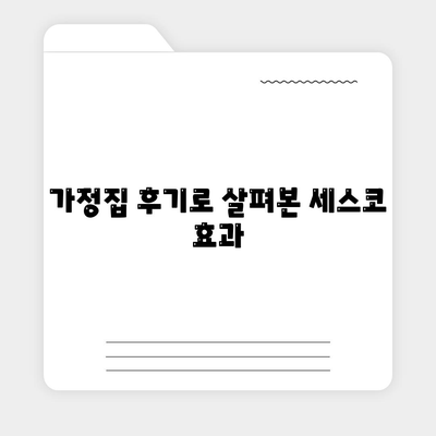 광주시 동구 서남동 세스코 서비스 가격과 가정집 후기 | 비용, 신청, 가입, 진단, 좀벌래 2024"