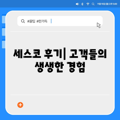 충청북도 청주시 상당구 용정동 세스코 가격 & 후기 2024 | 가정집, 원룸 진단 및 좀벌래 해결 팁