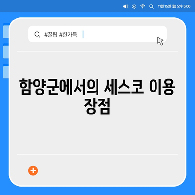 경상남도 함양군 백전면 세스코 가격과 가정집 후기 | 집 진단, 좀벌래 문제 해결, 신청 및 가입 방법 2024