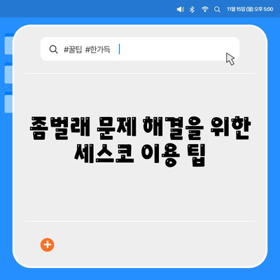 경기도 구리시 수택2동 세스코 가격과 가정집 후기 완벽 가이드 | 비용, 신청 방법, 좀벌래 해결책 2024