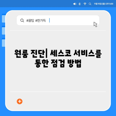 경상남도 창녕군 창녕읍 세스코 비용과 가정집 후기 | 가격, 원룸 진단, 신청 방법, 좀벌래 해결 팁 2024