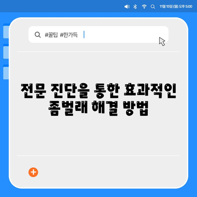 경기도 군포시 광정동 세스코 가격 및 가정집 후기 | 비용, 신청, 가입, 진단, 좀벌래 해결 방법 2024