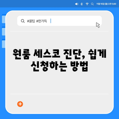 울산시 남구 달동 세스코 가격과 후기 | 가정집 및 원룸 진단 신청 방법, 좀벌래 해결 팁 2024