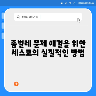 서울시 서초구 잠원동 세스코 가격 & 비용 가이드 | 가정집 후기, 원룸 신청, 좀벌레 해결법 2024