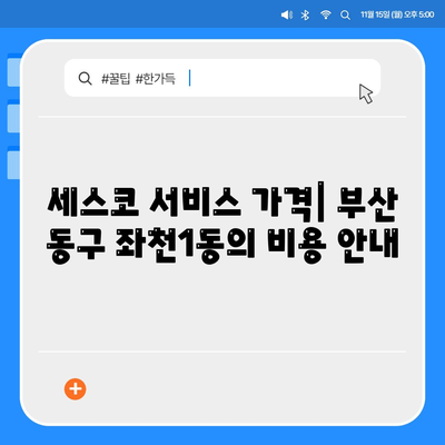 부산시 동구 좌천1동 세스코 가격 및 서비스 이용 가이드 | 비용, 가정집 후기, 원룸 신청 방법, 좀벌래 진단 2024