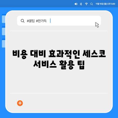 충청남도 홍성군 홍동면 세스코 가격 및 가정집 후기는? | 비용, 신청, 진단, 원룸, 좀벌래 해결책 2024