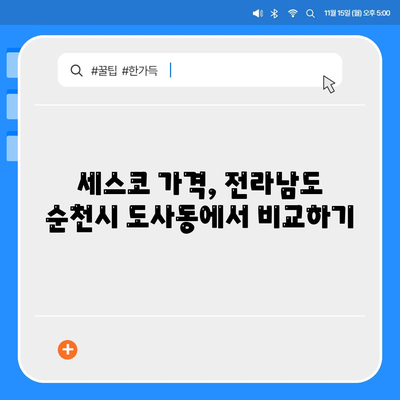 전라남도 순천시 도사동 세스코 가격 및 서비스 후기 | 비용, 가정집 및 원룸 신청 가이드, 좀벌래 진단 방법 2024