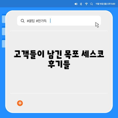 전라남도 목포시 산정동 세스코 시설 비용과 가정집 후기 | 세스코, 가격, 신청, 진단, 좀벌래 해결책 2024