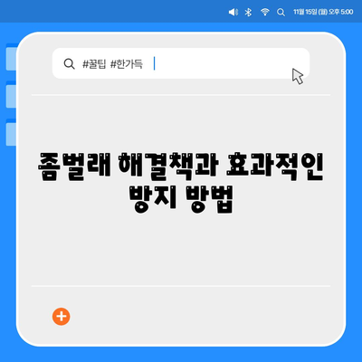 광주시 광산구 신가동 세스코 가격과 후기 | 비용, 가정집 및 원룸 신청 방법, 진단, 좀벌래 해결책 2024"