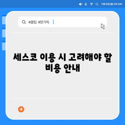 대구시 달서구 월성2동 세스코 가격은 얼마? | 비용, 가정집 후기, 원룸 신청 가이드 2024 | 좀벌래 해결 방법