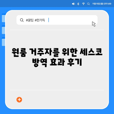 대구시 달서구 월성2동 세스코 가격 및 신청 방법 완벽 가이드 | 비용, 후기, 원룸, 좀벌래 문제 해결 2024