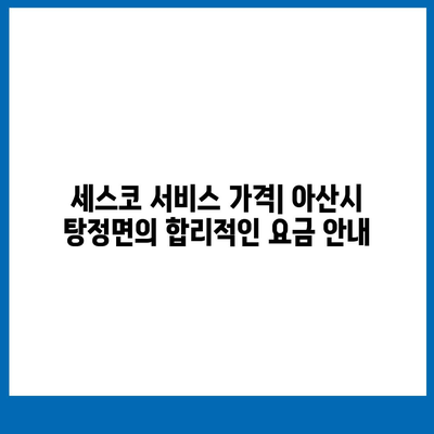 충청남도 아산시 탕정면 세스코 서비스 가격 및 후기 | 가정집, 원룸, 신청 방법, 효과적인 좀벌래 퇴치법 2024