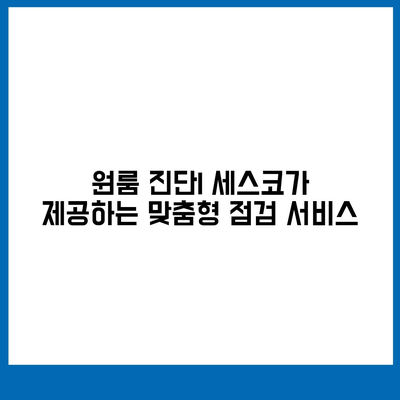 강원도 화천군 사내면 세스코 가격 및 가정집 후기 2024 | 비용, 신청 방법, 좀벌래 해결책, 원룸 진단