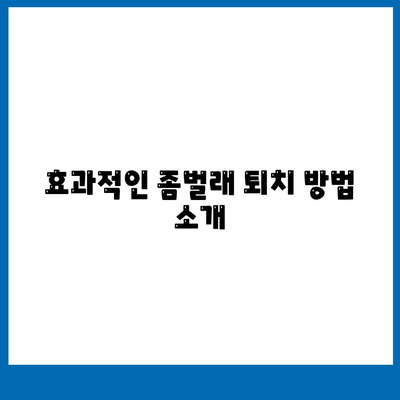 충청북도 영동군 양강면 세스코 서비스 가격 및 후기 | 비용, 신청, 가정집 진단, 좀벌래 퇴치 방법, 2024년 정보