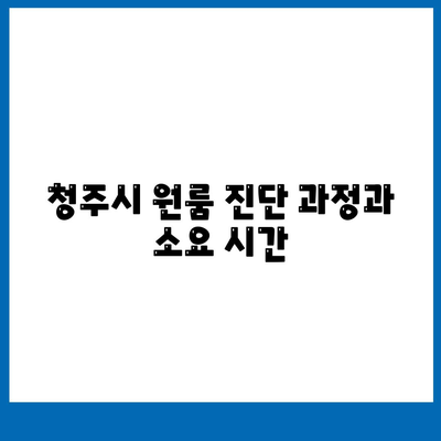 충청북도 청주시 상당구 용정동 세스코 가격 & 후기 2024 | 가정집, 원룸 진단 및 좀벌래 해결 팁