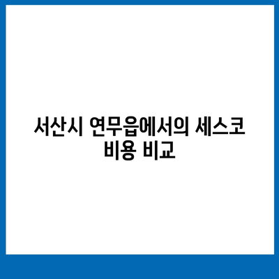 충청남도 서산시 연무읍 세스코 가격 및 비용 검토 | 가정집 후기, 원룸 신청 방법, 좀벌래 해결책 2024