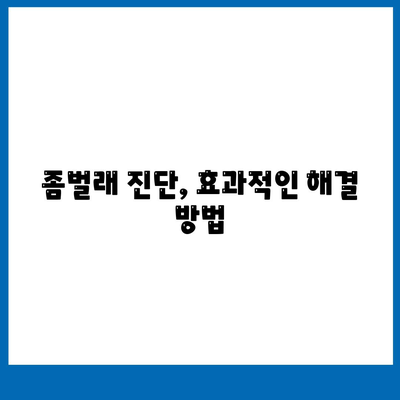 광주시 동구 서남동 세스코 가격 및 서비스 가이드 | 가정집 후기, 원룸 신청, 좀벌래 진단 팁 2024