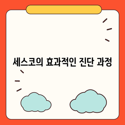 경기도 안성시 대덕면 세스코 가격 및 비용 가이드 | 가정집 후기, 원룸 신청, 진단, 좀벌래 해결 방법 2024