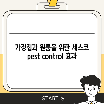 전라남도 담양군 무정면 세스코 가격 및 서비스 리뷰 | 가정집, 원룸, 가입 신청 방법, 좀벌래 해결책 2024