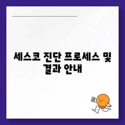 제주도 제주시 노형동 세스코 서비스 가격 가이드 | 비용, 가정집 후기, 원룸 신청 및 진단 방법 2024"