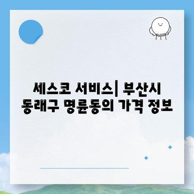 부산시 동래구 명륜동 세스코 가격 및 비용 안내 | 가정집 후기, 원룸 신청 방법, 진단 및 좀벌레 해결 팁 2024