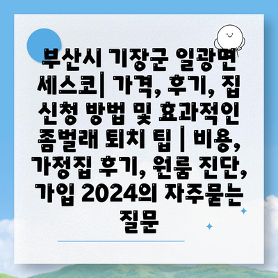 부산시 기장군 일광면 세스코| 가격, 후기, 집 신청 방법 및 효과적인 좀벌래 퇴치 팁 | 비용, 가정집 후기, 원룸 진단, 가입 2024