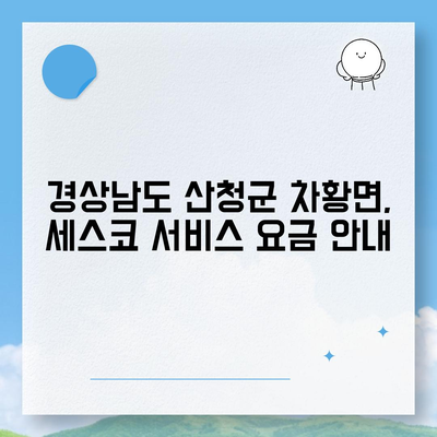 경상남도 산청군 차황면 세스코 가격 및 후기 | 가정용, 원룸 신청 방법과 진단 정보, 좀벌래 해결 팁 2024