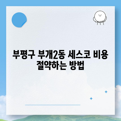 부평구 부개2동 세스코 가격과 가정집 후기 총정리 | 비용, 신청, 가입, 원룸, 좀벌래 해결 팁 2024