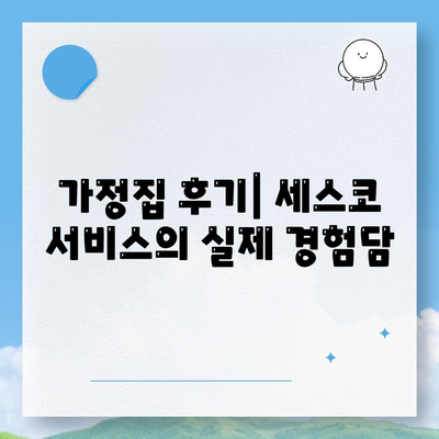 세종시 연기면 세스코 가격과 가정집 후기 완벽 가이드 | 비용, 신청, 진단, 좀벌래 해결 방법 2024