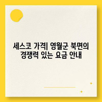 강원도 영월군 북면 세스코 가격 및 가정집 후기 | 비용, 신청, 가입, 진단, 좀벌래 해결책 2024