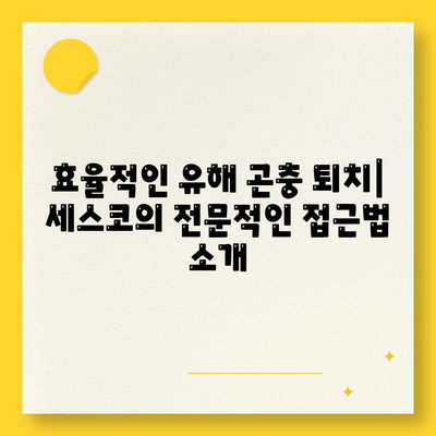 경기도 과천시 막계동 세스코 가격과 서비스 가이드 | 좀벌래 집 진단, 가정집 후기, 신청 방법 2024"