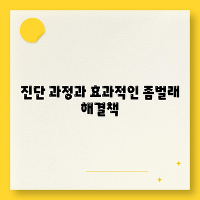 경상북도 경산시 중방동 세스코 가격 및 가정집 후기 총정리 | 비용, 신청, 진단, 좀벌래 해결책 2024